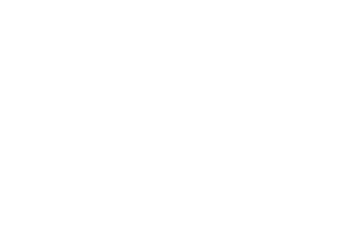 SMART master